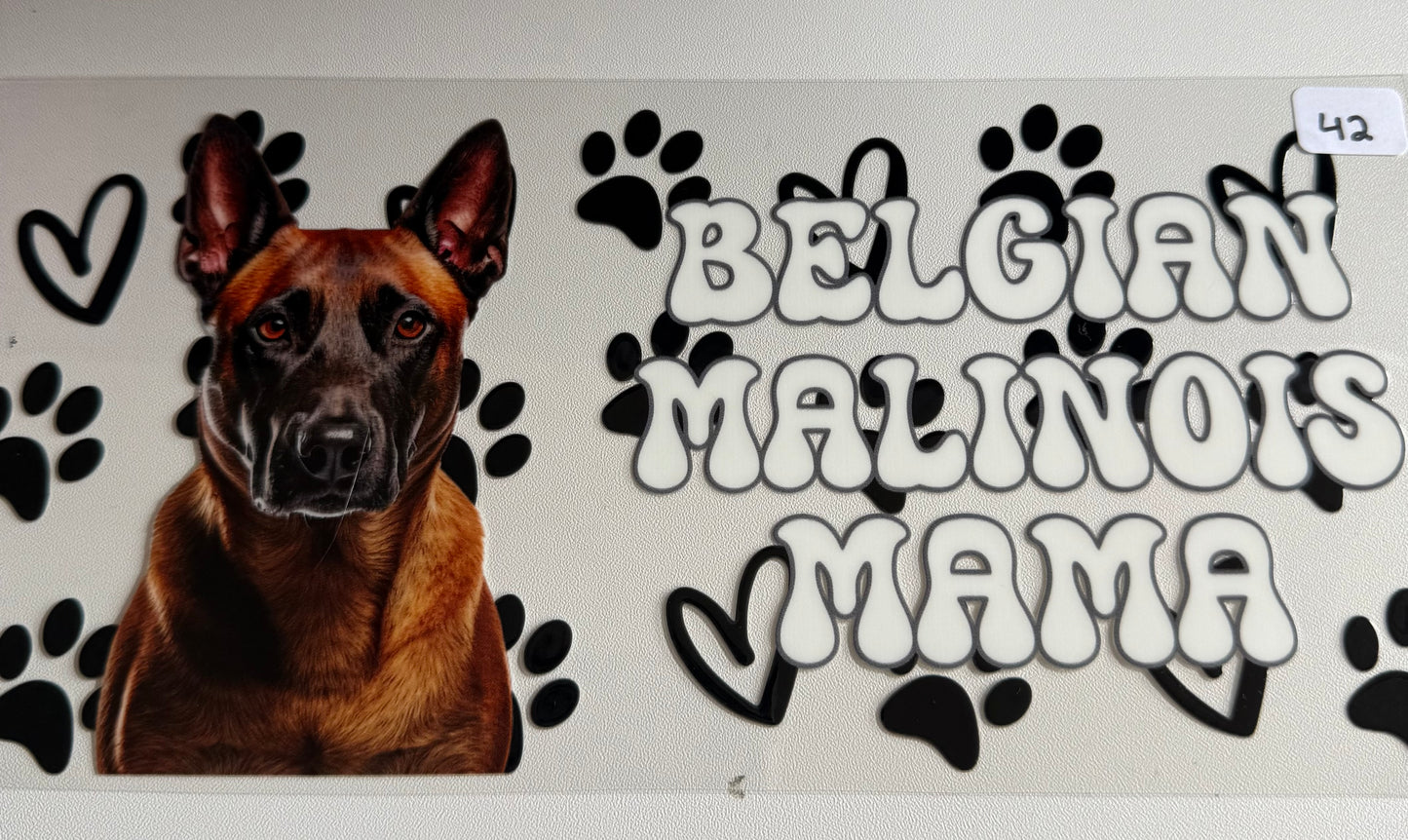 Belgian Malinois Mama- 42