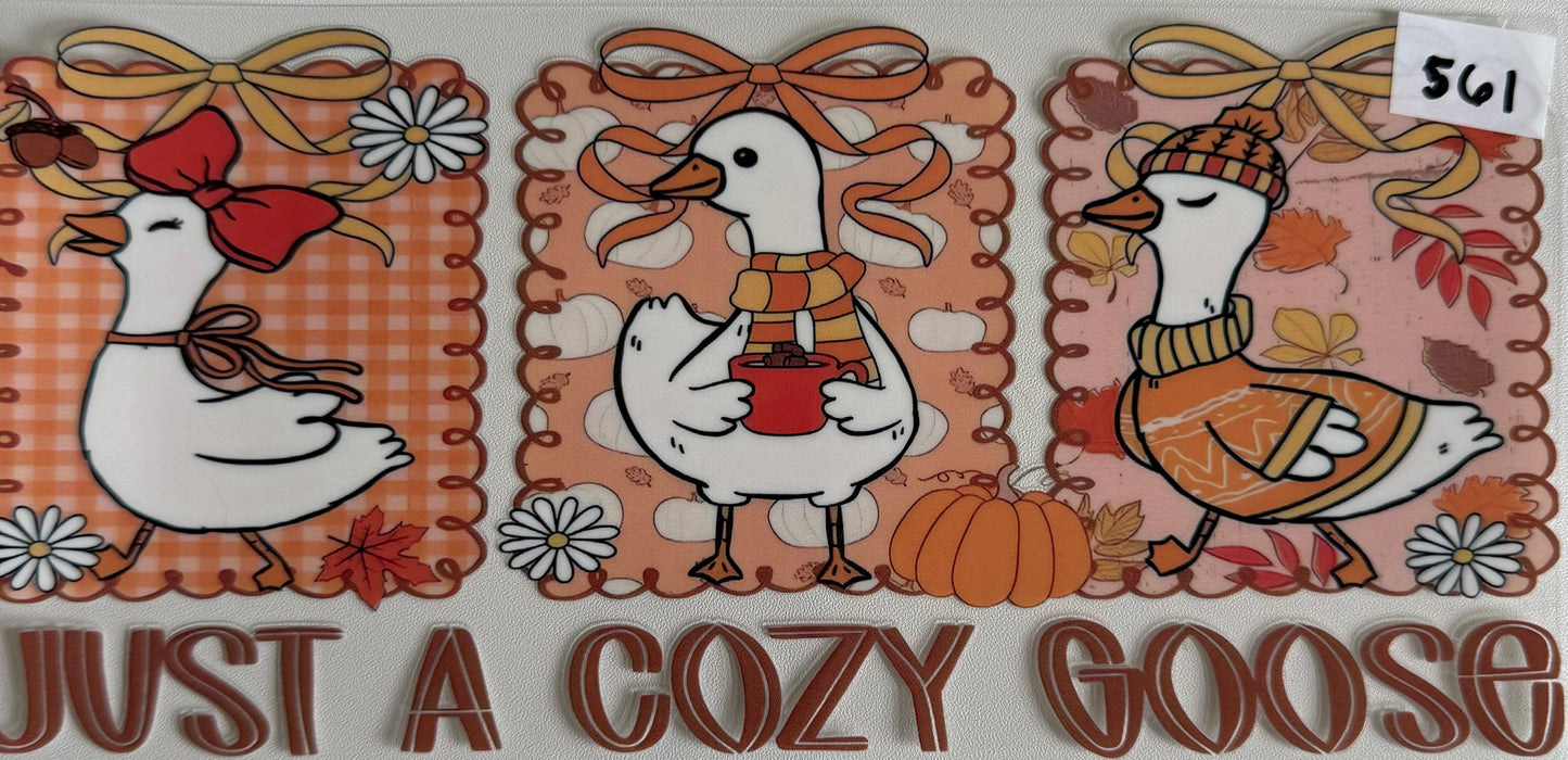 Just a cozy goose- 561