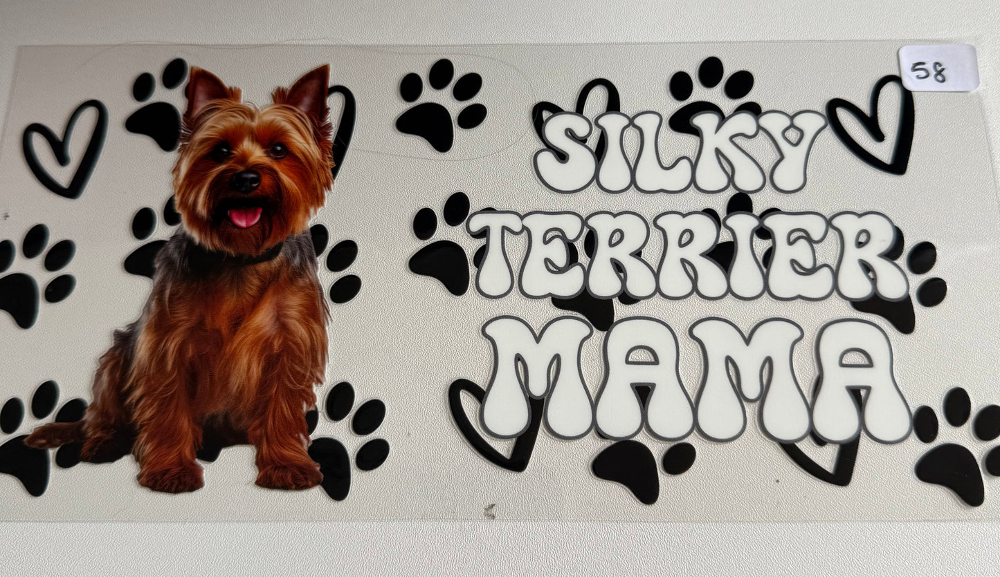 Silky Terrier Mama- 58