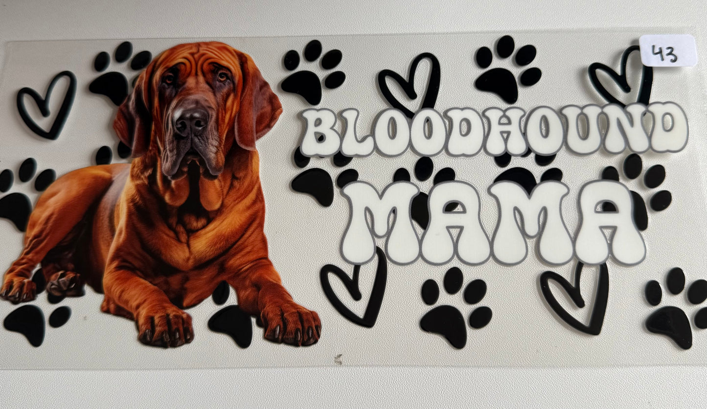 Bloodhound Mama- 43
