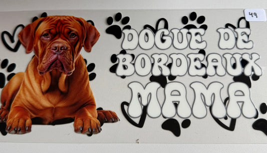 Dogue De Bordeaux Mama- 49