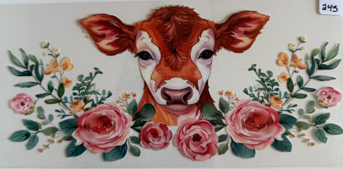 Rose cow- 245