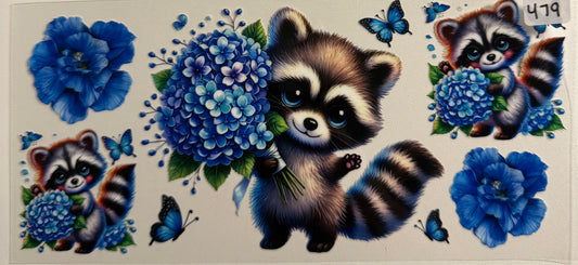 Raccoon- 479