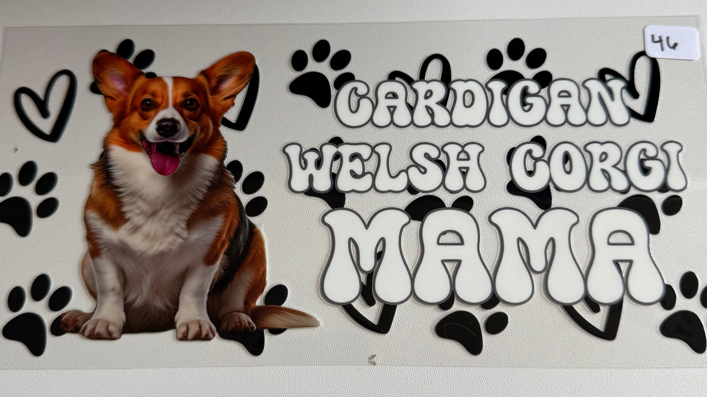 Cardigan Welsh Corgi Mama- 46