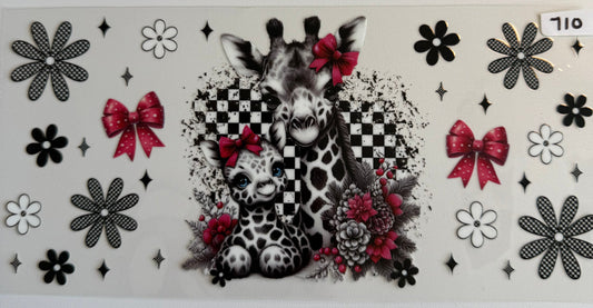 Giraffes-710