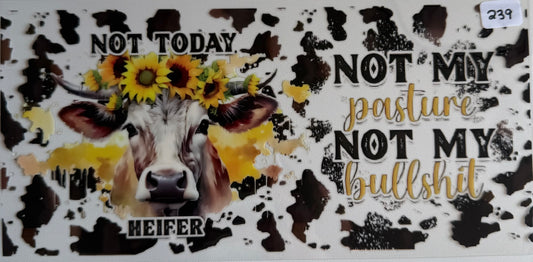 Not today cow- 239