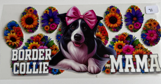 Border Collie Mama- 71