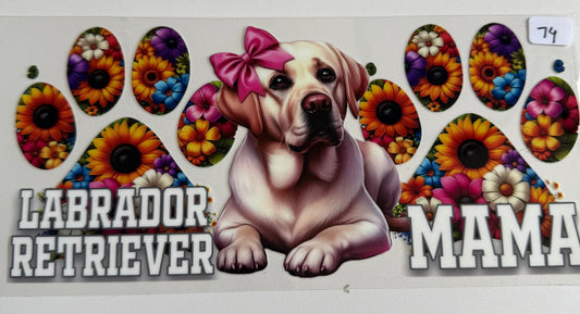 Labrador Retriever Mama- 74