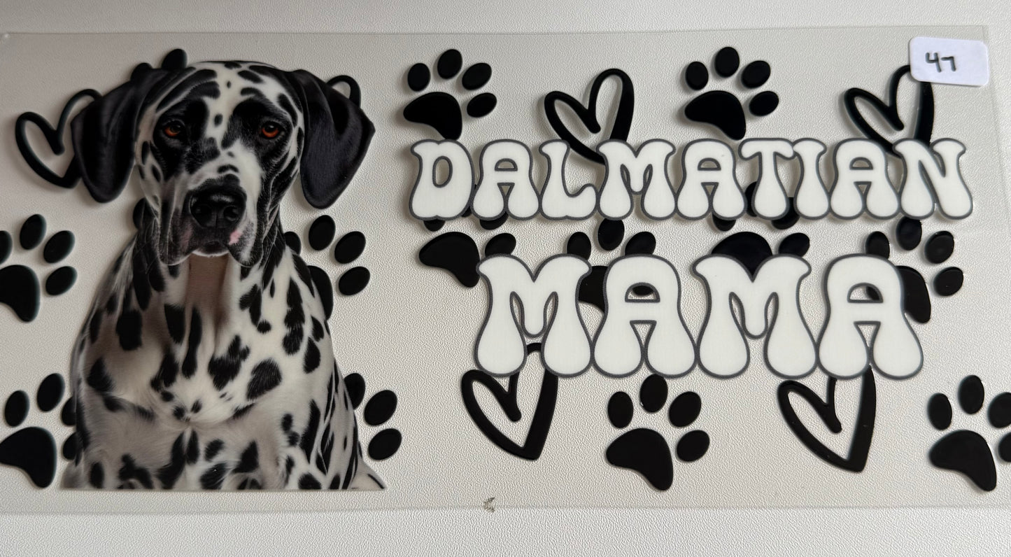 Dalmatian Mama- 47