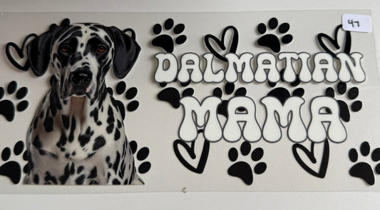 Dalmatian Mama- 47