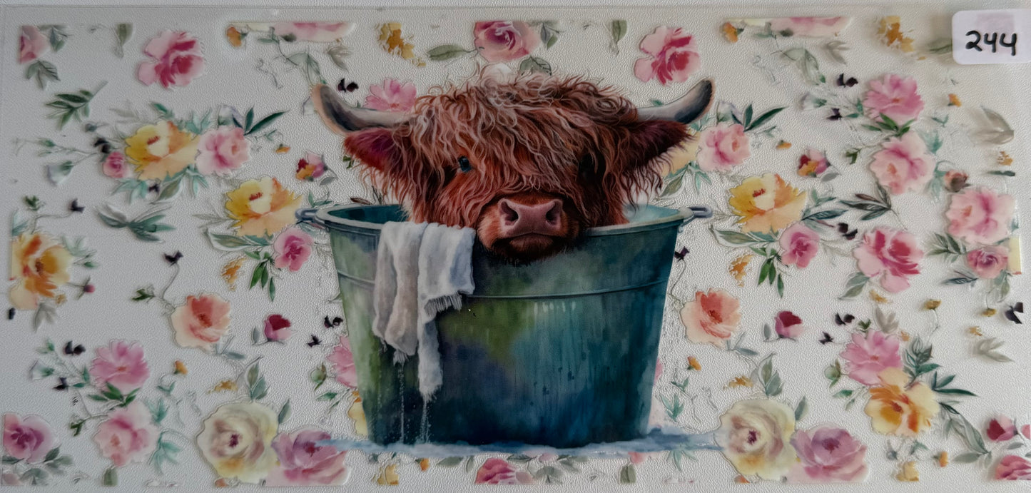 Cow in bucket- 244