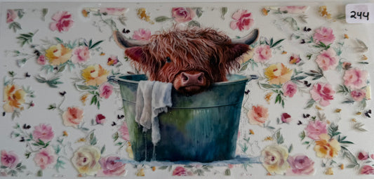 Cow in bucket- 244