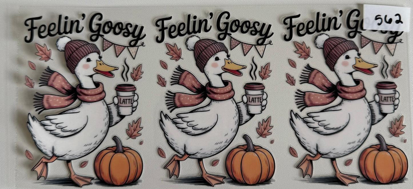 Feelin’ Goosy- 562