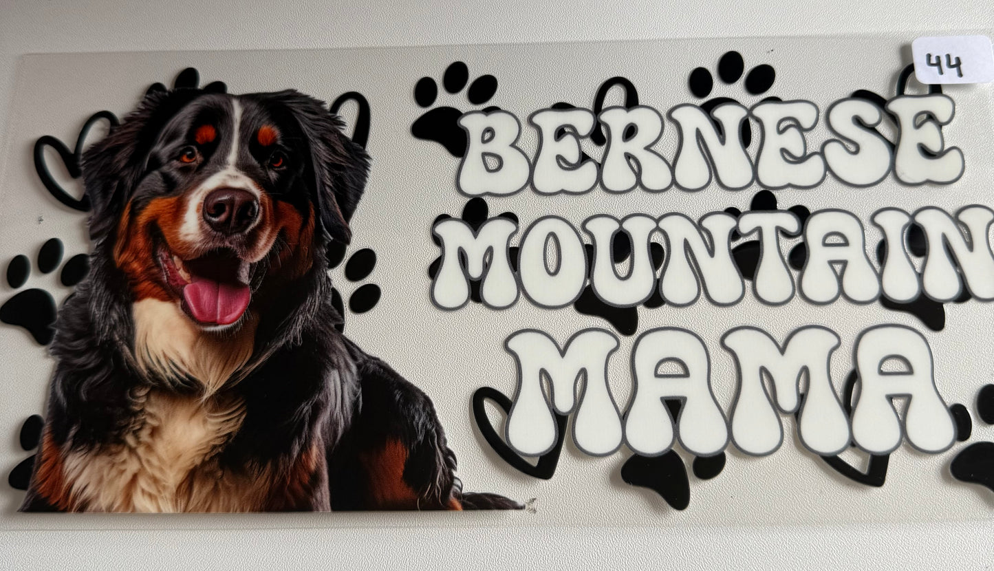 Bernese Mountain Mama- 44