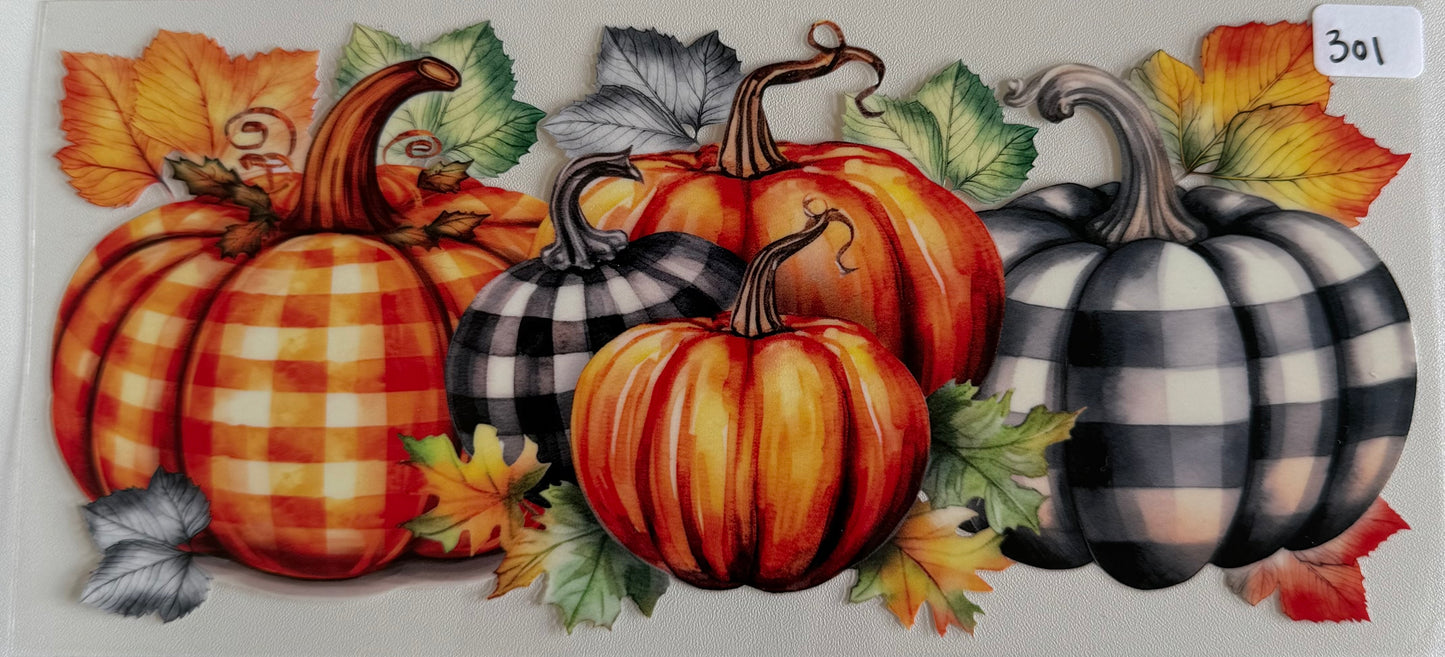 Pumpkins- 301