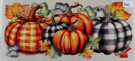 Pumpkins- 301