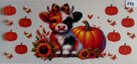 Pumpkin cow- 235