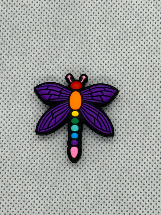 Rainbow Dragonfly